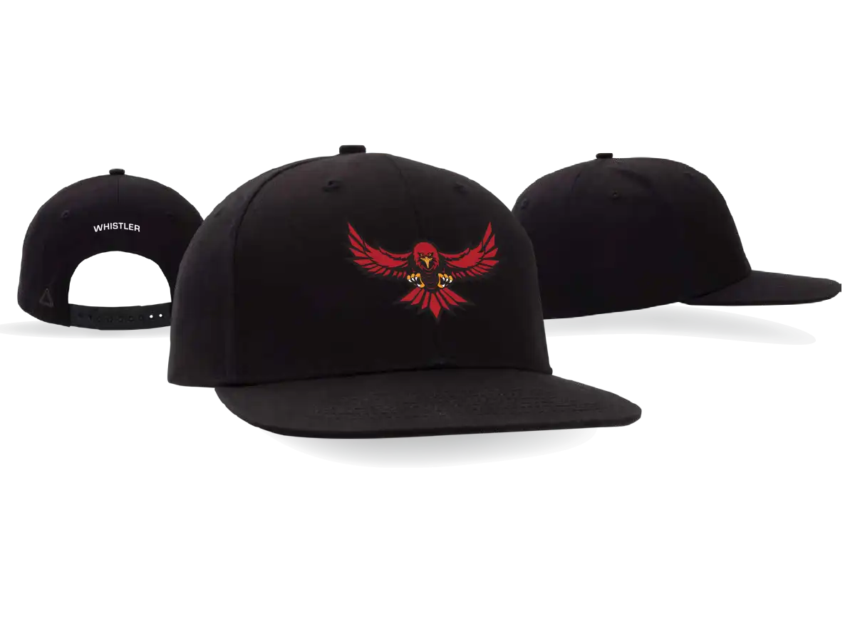 SsFs-whistler-black-flat-brim